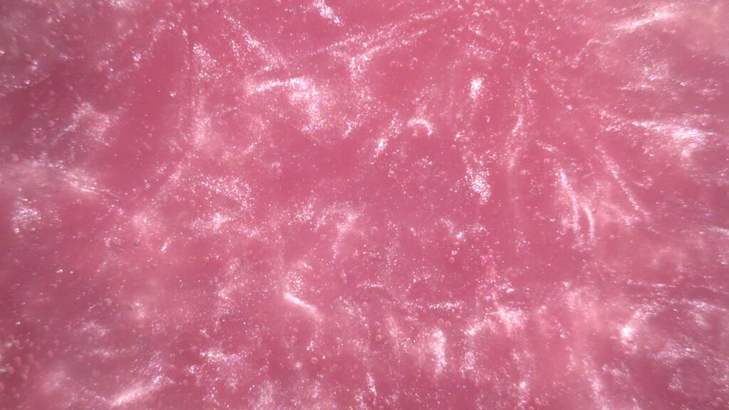 Barbie pink