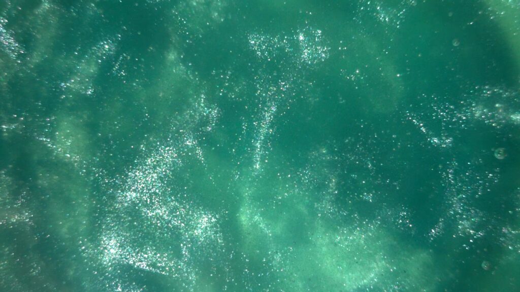 Bright Green