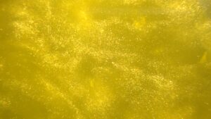 Bronze Yellow