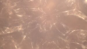Cersle