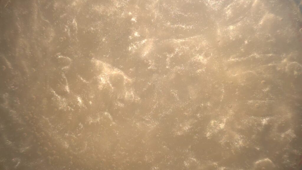 Champagne Gold