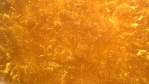 Crystal Gold