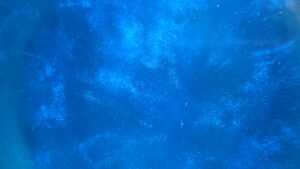 Deep Blue