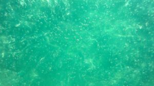 Emerald Green