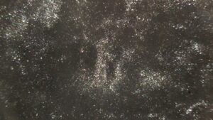 Flash Black