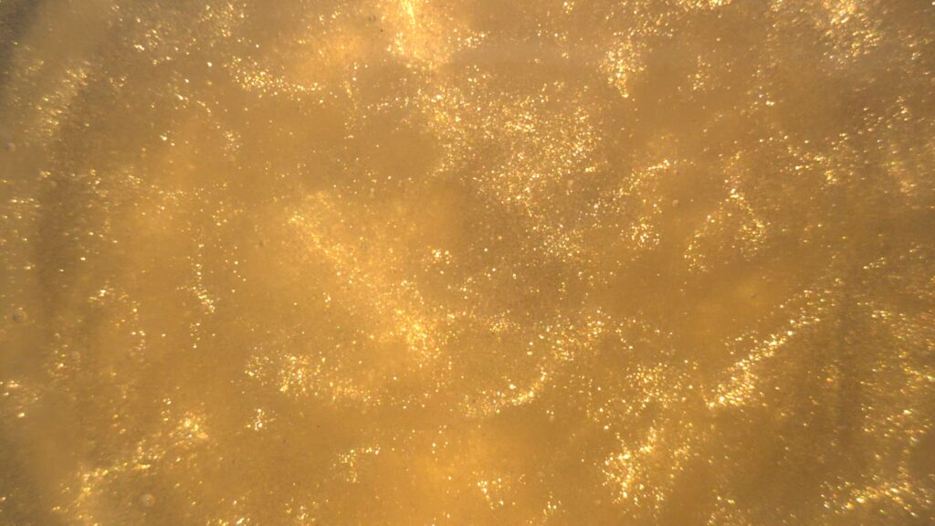 Flash Gold