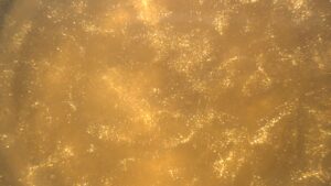 Flash Gold