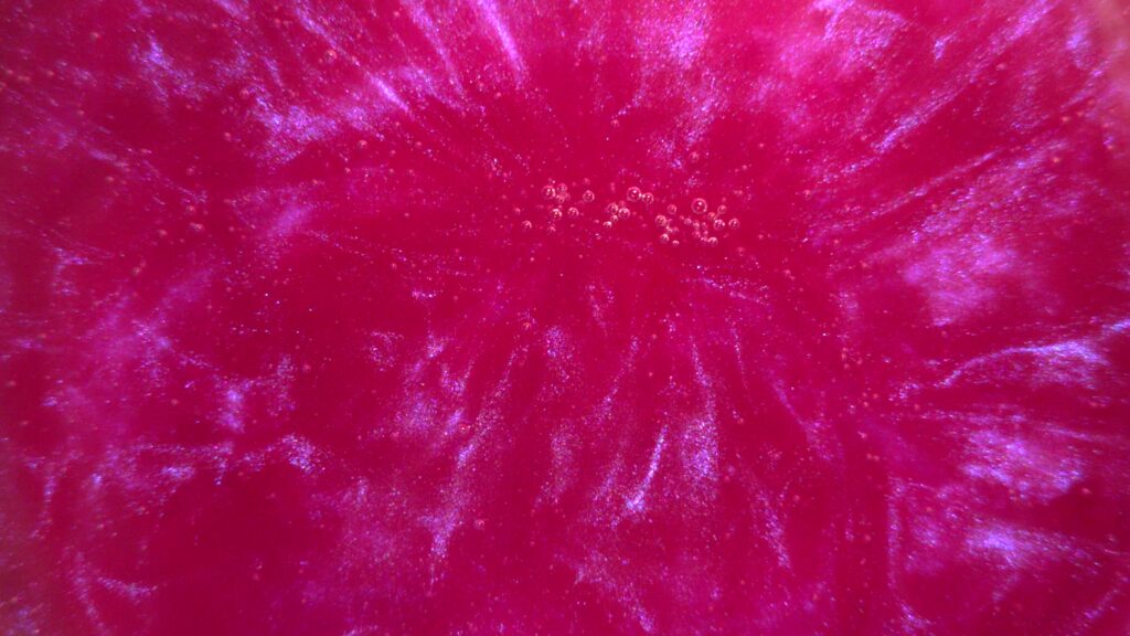 Fuchsia