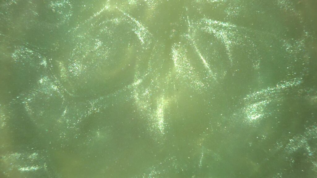 Glitter Green