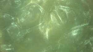 Glitter Green