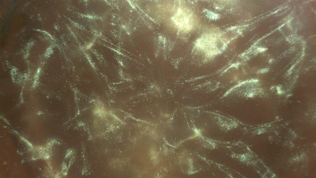 Golden Brown