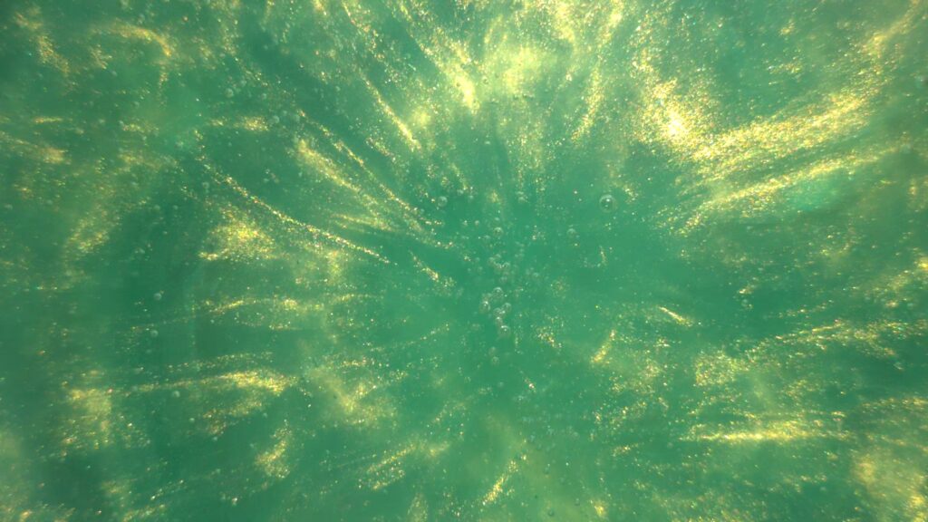 Golden Green