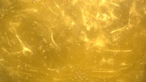 Lemon Yellow