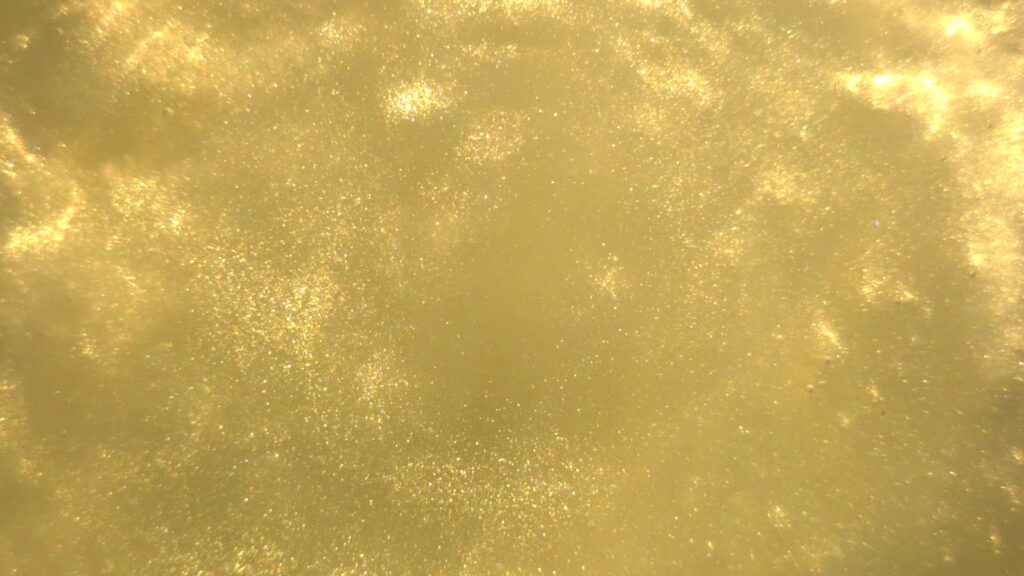 Light Yellow