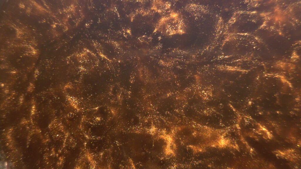 Lustrous Bronze