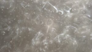 Lustrous Gray