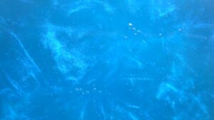 Magic Blue