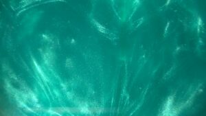 Navy Green
