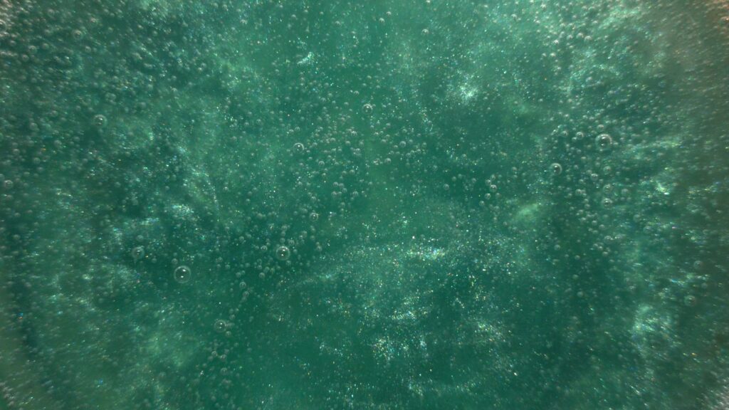 Peacock Green