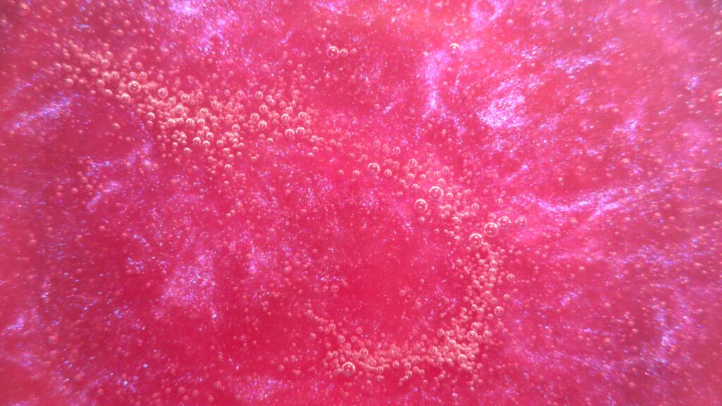 Pink Dodoris
