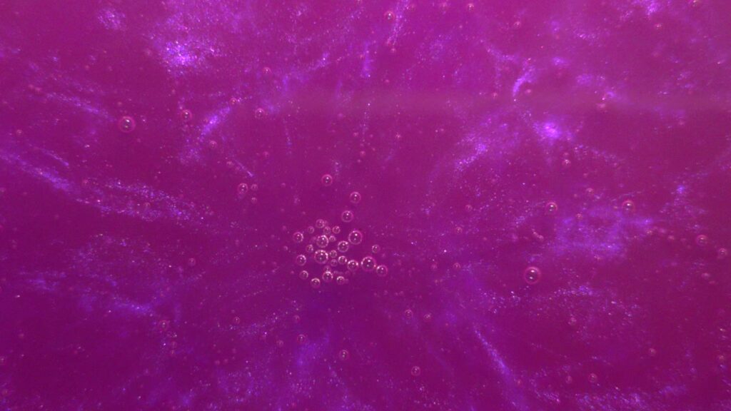 Purple Monster