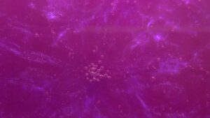 Purple Monster