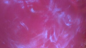 Purple Red