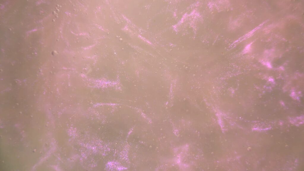 Rainbow Purple