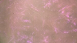 Rainbow Purple