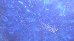 Sapphire Blue