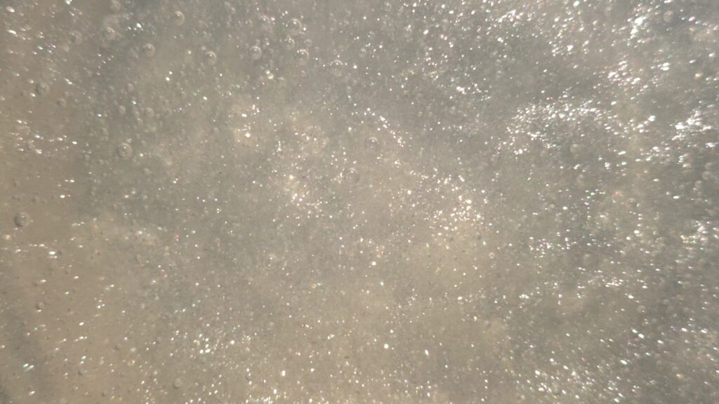 Shimmer Pearl