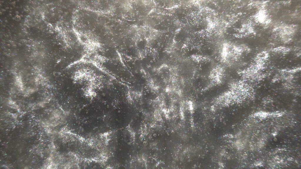 Silver Gray