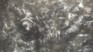 Silver Gray