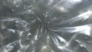 Silver Satin