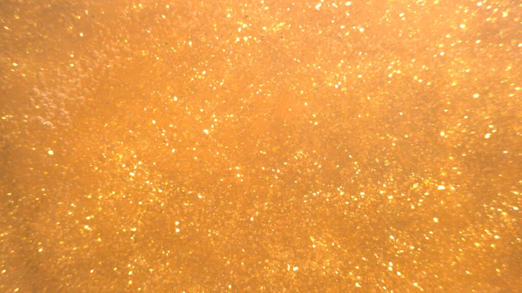 Sparkle Gold