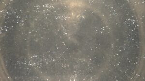 Sparkle White