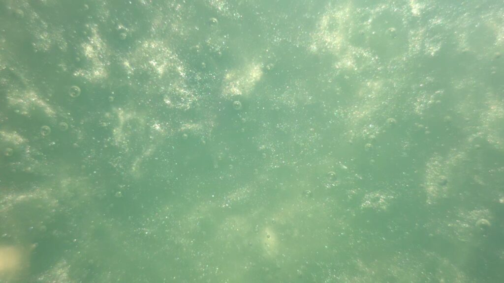 Teal Green