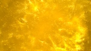 Yellow Orange