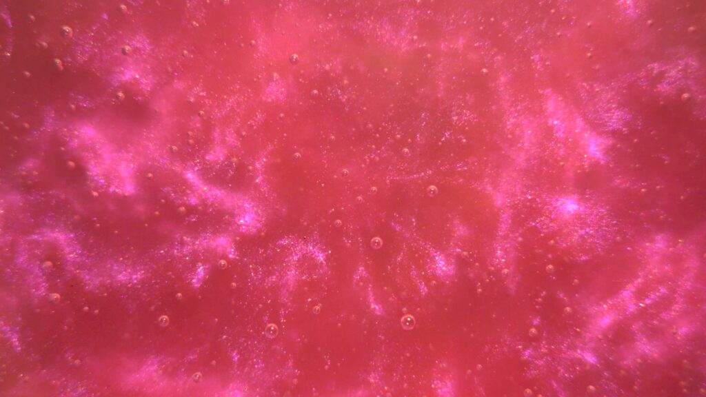 Rose Red